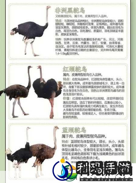 人与畜禽共性关系的重要性