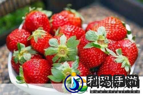 草莓视频CAOMEI888