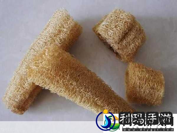秋葵视频草莓视频丝瓜视频榴莲视频网站秋