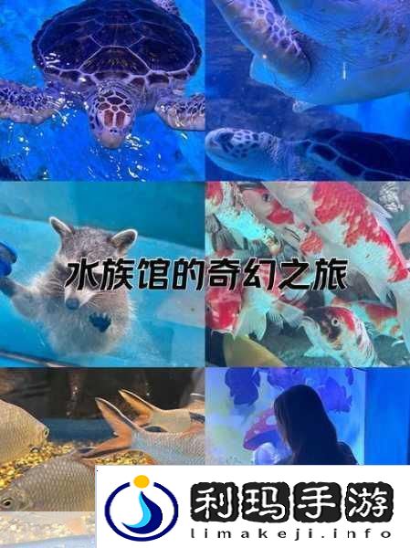 探索海底奇遇尽在多多海洋动物游戏APP！