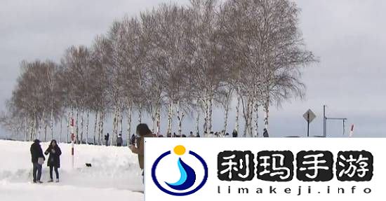 够狠！日本北海道阻无良游客未果