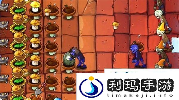 植物大战僵尸杂交版冒险模式第45关怎么过