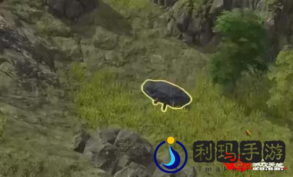 美妆达人游戏攻略