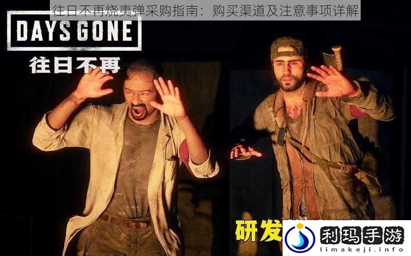 往日不再烧夷弹采购指南:购买渠道及注意事项详解