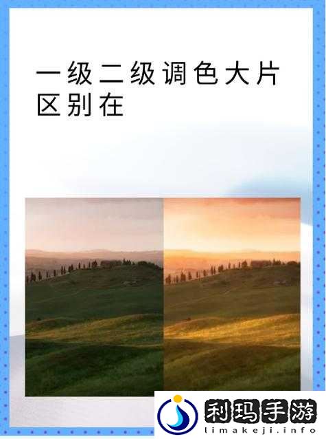 一级二级调色大片区别在哪儿评测:深入剖析二者差异