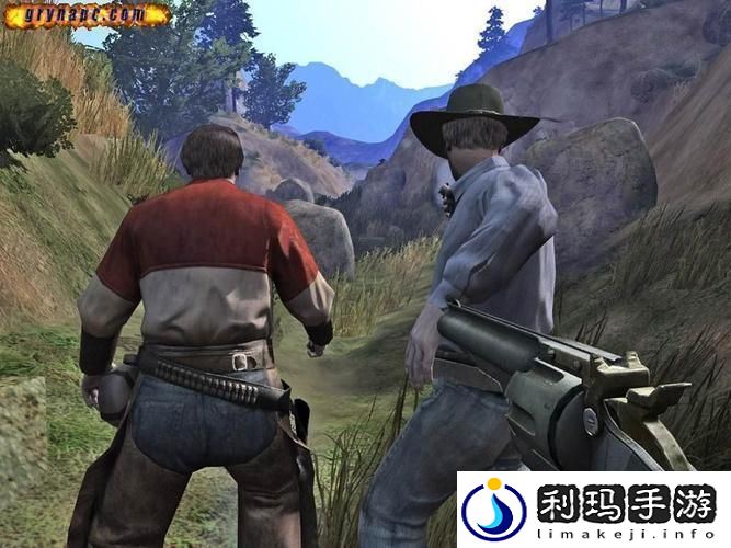 深入探索全流程图文攻略指南