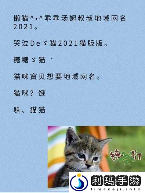 如何将猫咪 MV 最新地域网名改需要的名称