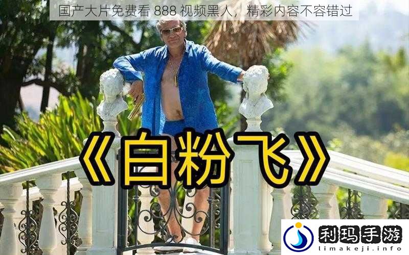 国产大片免费看 888 视频黑人,精彩内容不容错过