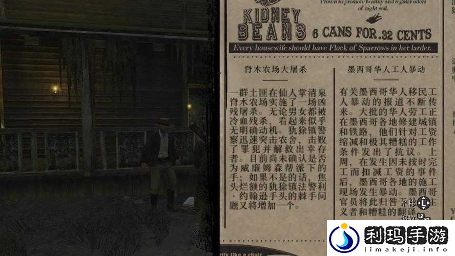 53 岁老阿姨荒野大镖客的评测:从不同视角看这款游戏的魅力与特色