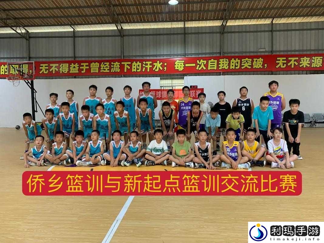 中国篮球生手冲 s 网站:探索篮球技巧的新起点