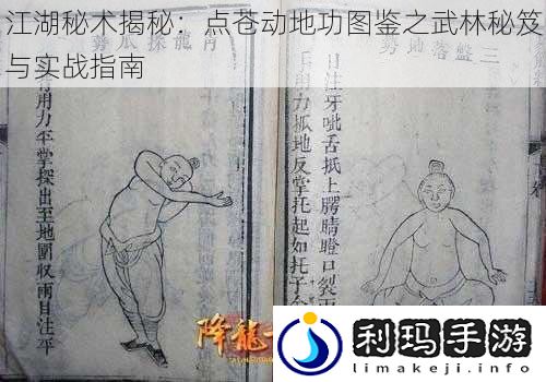 江湖秘术揭秘:点苍动地功图鉴之武林秘笈与实战指南