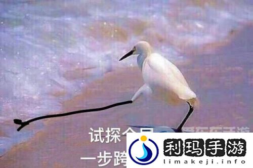 鹅米猪三厂夹击