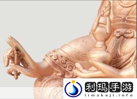 肉莲花吸入金刚杵的后果