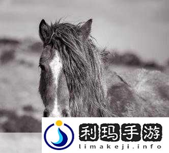 银角狰的鬃毛