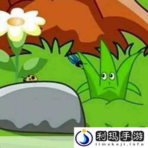 小草回家永不迷路2024