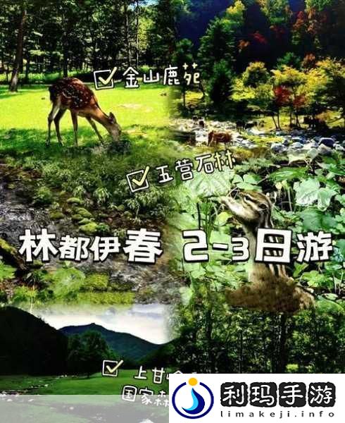伊春园一路二路三路入口