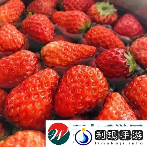 草莓色多多