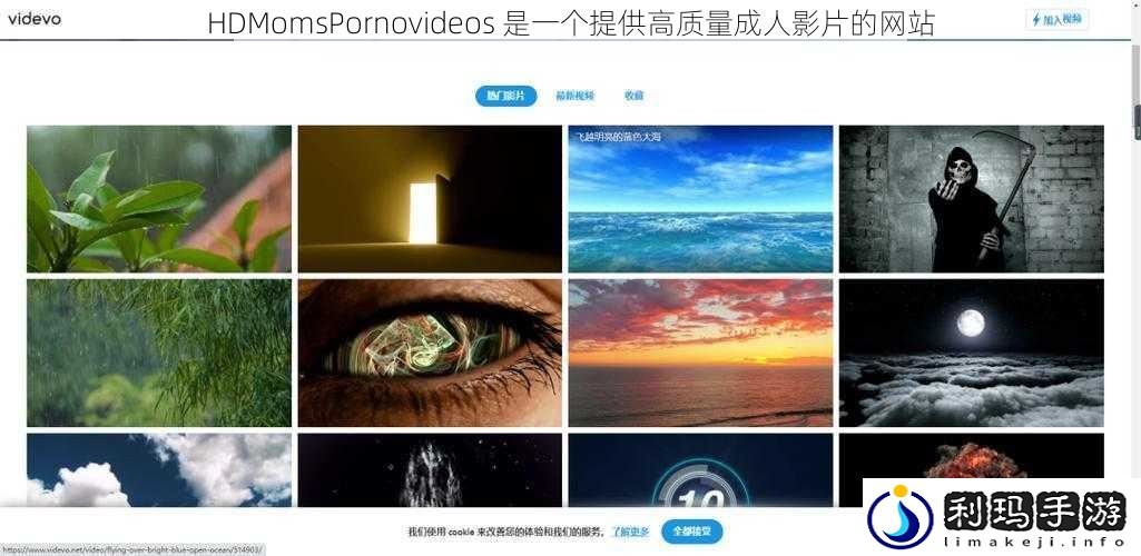 HDMomsPornovideos 是一个提供高质量成人影片的网站