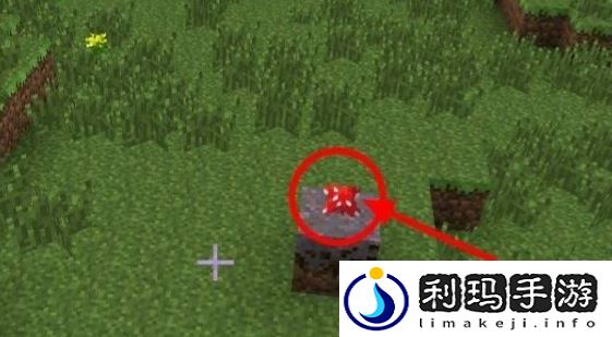 我的世界怎么种蘑菇