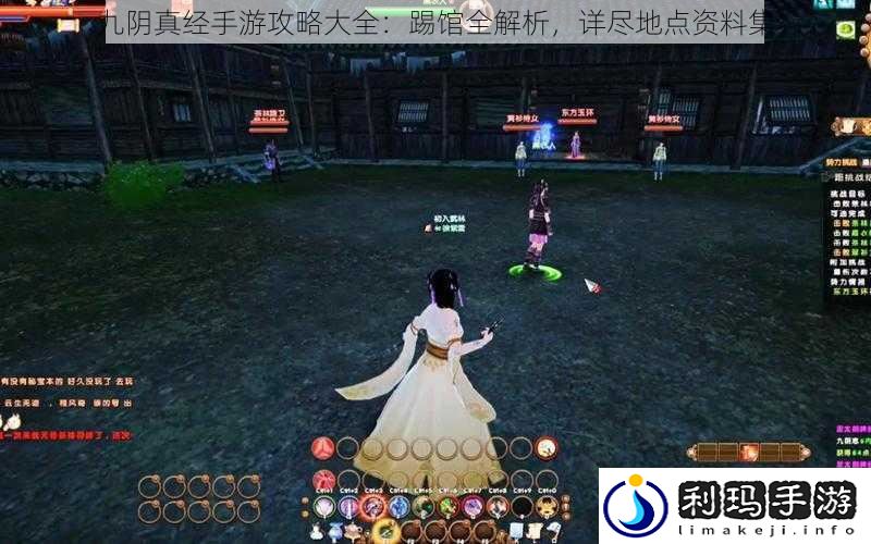 九阴真经手游攻略大全:踢馆全解析,详尽地点资料集