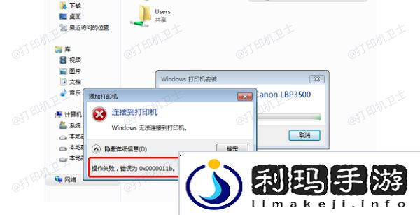 0x0000011b错误