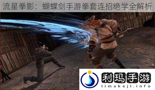 流星拳影:蝴蝶剑手游拳套连招绝学全解析
