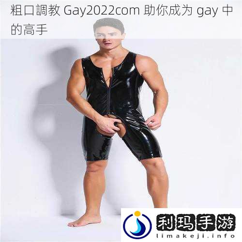 粗口調教 Gay2022com 助你成为 gay 中的高手
