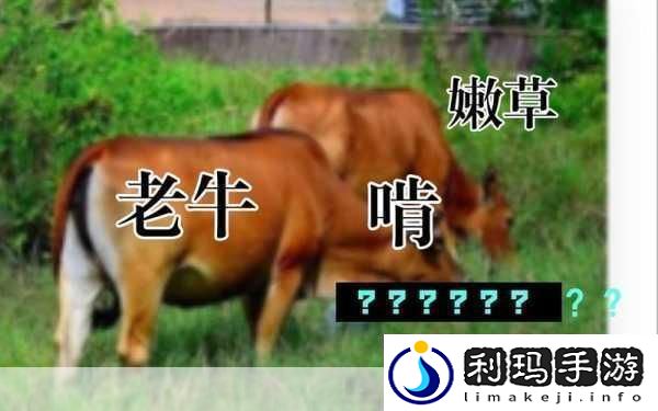 老牛嫩草一二三产品区别是什么