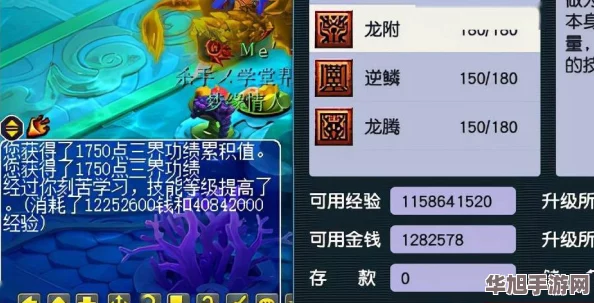 梦幻西游