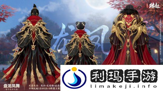 图2 盘龙凤舞-背面.jpg