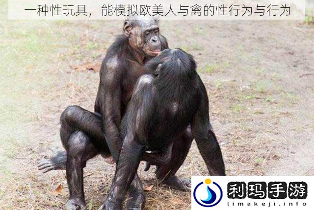 一种性玩具,能模拟欧美人与禽的性行为与行为