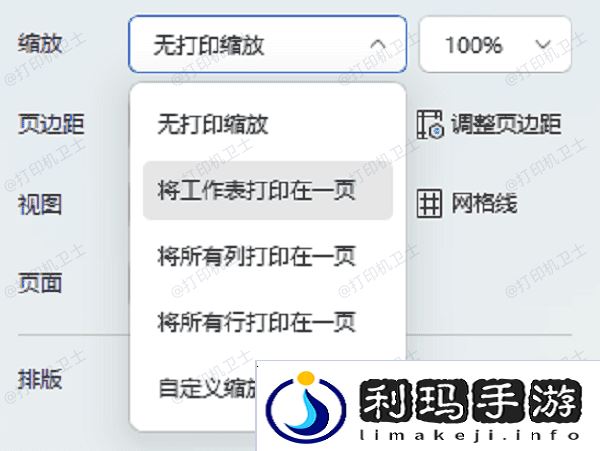 调整Excel页面设置