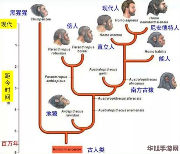 伊甸园一二三四地区的历史意义
