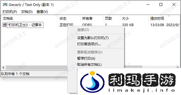 检查打印机状态和设置