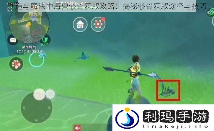 创造与魔法中海兽骸骨获取攻略