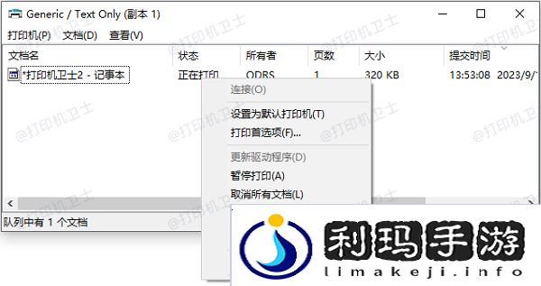 检查打印机队列