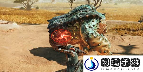 怪物猎人荒野集中模式是什么