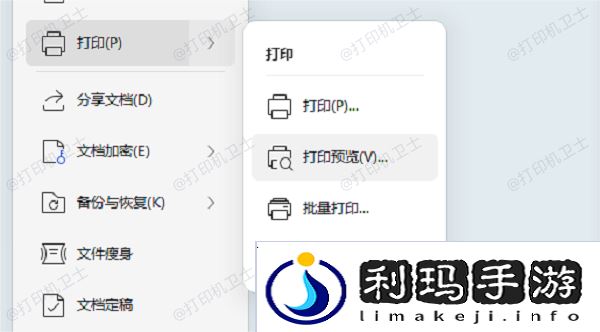 预览打印效果