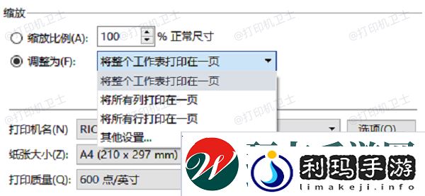 使用缩放功能