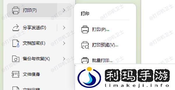 打印预览