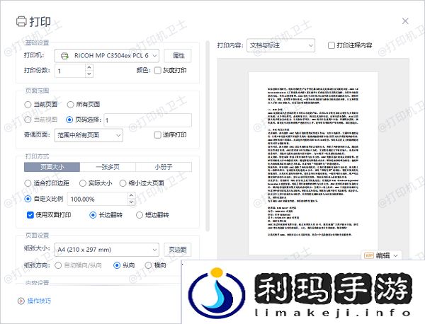 PDF 阅读器中的打印预览