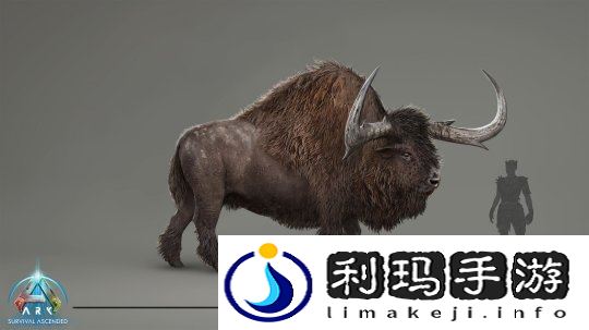 图片 3.jpg