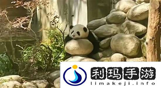 极乐软件园