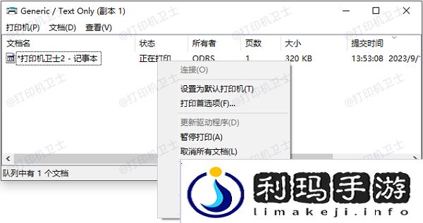 脱机使用打印机