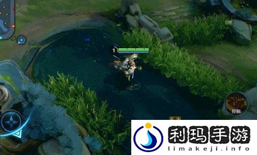 3款无双限定皮肤优化