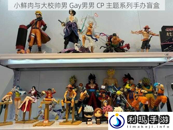 小鲜肉与大校帅男 Gay男男 CP 主题系列手办盲盒