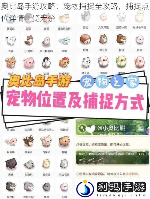 奥比岛手游攻略:宠物捕捉全攻略,捕捉点位详情一览无余