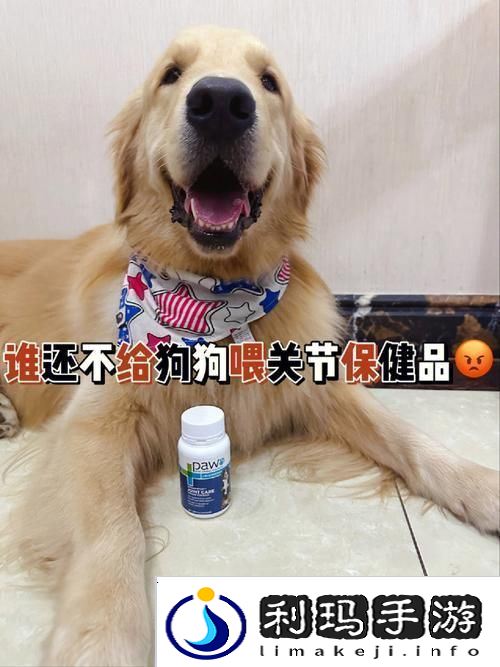 探索“人狗胶配方大全狗狗一”