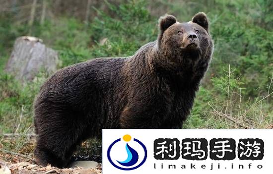 极乐软件园