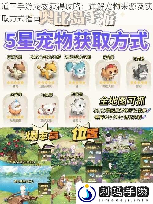 道王手游宠物获得攻略:详解宠物来源及获取方式指南